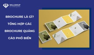 Brochure Quảng Cáo Phổ Biến