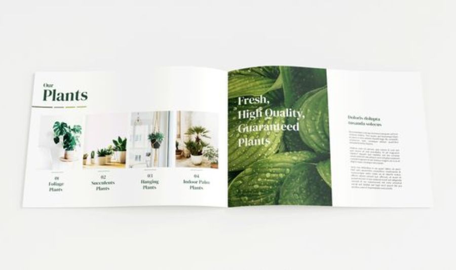 Brochure Là Gì? Tổng Hợp Các Brochure Quảng Cáo Phổ Biến