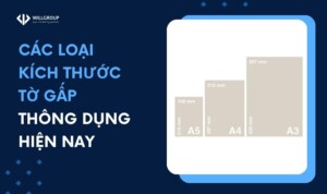 Các Loại Kích Thước Tờ Gấp Thông Dụng Hiện Nay