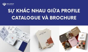 Sự Khác Nhau Giữa Profile Catalogue Và Brochure