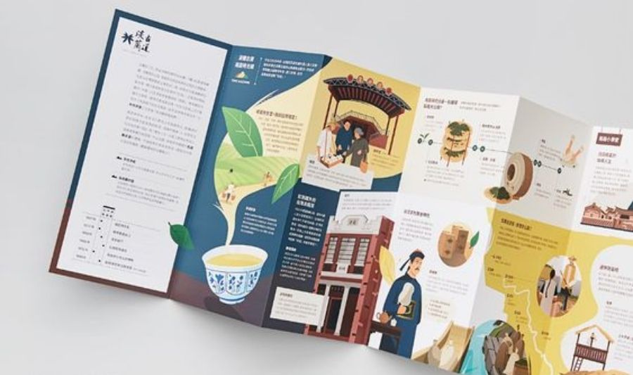 Các Xu Hướng Thiết Kế Brochure