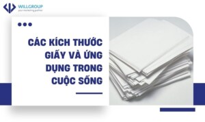 Các Kích Thước Giấy Và ứng Dụng Trong Cuộc Sống