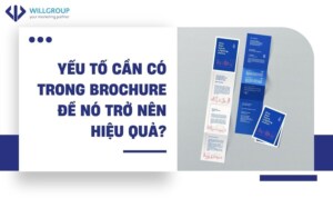 Yếu Tố Cần Có Trong Brochure để Nó Trở Nên Hiệu Quả?